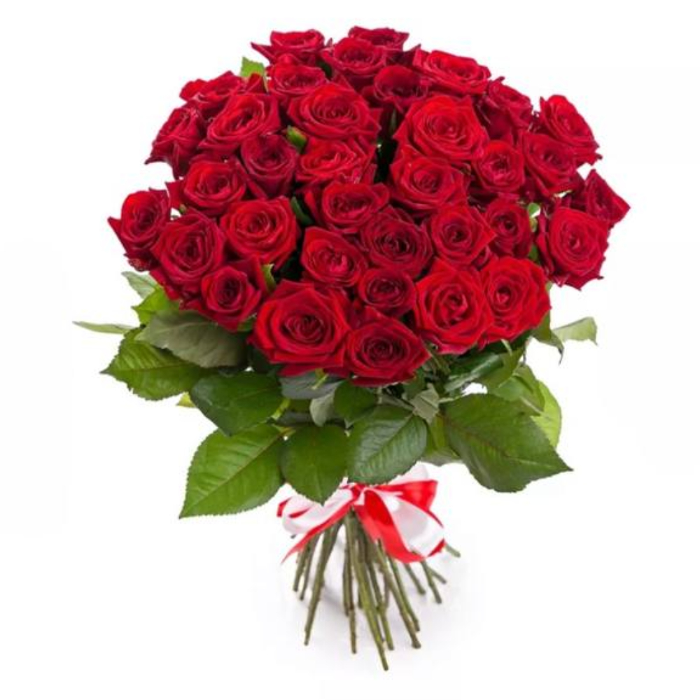 31 Красная роза